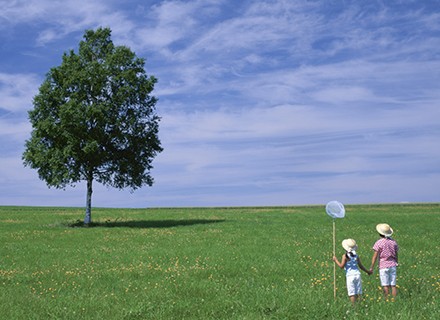 21972_epson_blog_feature_440x320_environment_v1