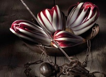 calendario-miniatura