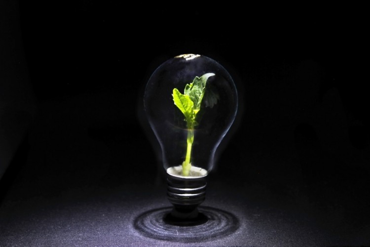 istock_42802098_medium-1024x682