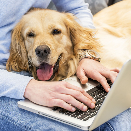 El trabajo combinado en casa y en la oficina requiere mejores condiciones