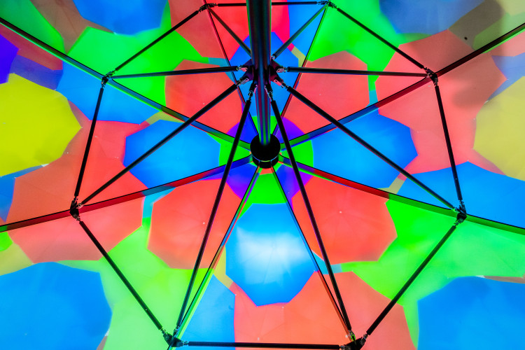 umbrella-day-one-ise-2024-5