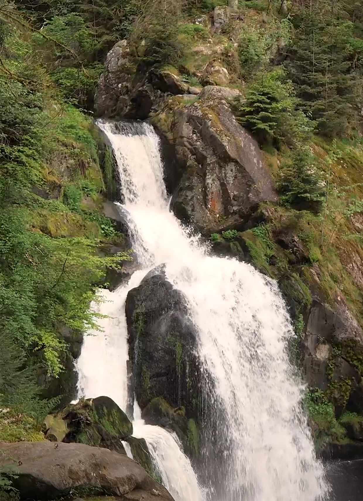 Referenz Gartenschau Baiersbronn