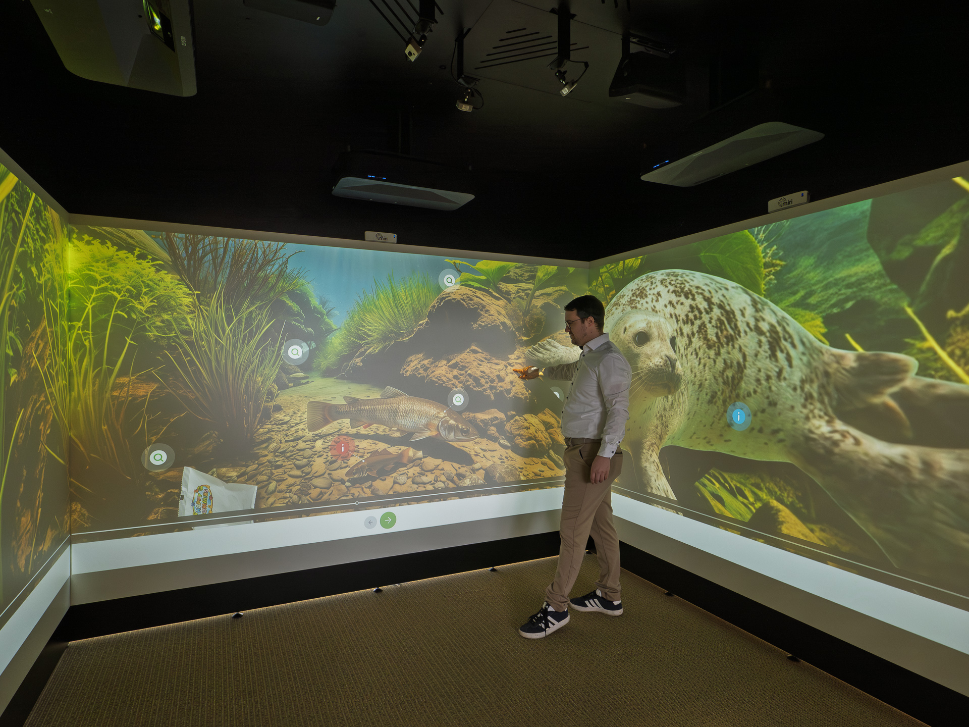 Das immersive Lernhaus miri im Kulturforum Hanau: Wo Projektionen MINT-Themen erlebbar machen